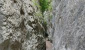 Tour Wandern Cheval-Blanc - gorge du regalon - Photo 1