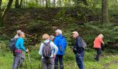 Excursión Senderismo Saint-Hubert - Awenne - Photo 6