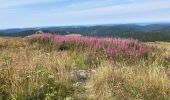 Trail Walking Stosswihr - Marche 10km 04-08-22 - Photo 15