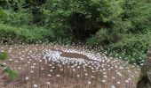 Percorso Marcia Gesves - Gesves - sentier d'arts - Photo 7