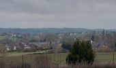 Tour Wandern Sambreville - Arsimont 270123 - Photo 6