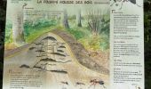 Trail Walking Aulon - J10-Aulon fait - Photo 14