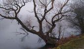 Tocht Noords wandelen Kelmis - la calamine - Photo 3