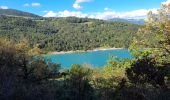 Randonnée Marche Treffort - ISERE: MONTEYNARD PASSERELLES HIMALAYENNES  - Photo 3