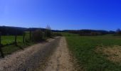 Tocht Mountainbike La Roche-en-Ardenne - activity_8670328691 - Photo 14