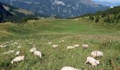 Randonnée Marche Glières-Val-de-Borne - BARGY: TRAVERSEE CENISE - LAC DE LESSY - PARADIS - Photo 13