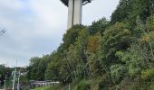 Tour Wandern Jalhay - La Gileppe - Bois de la Borchêne  - Photo 9