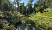 Percorso Marcia Ciney - Sentier VERT - 5.34 Km - Chevetogne - Photo 1