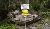 Tour Zu Fuß Gemeinde Gerlos - Wasserfall-Trail - Photo 7