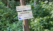 Tour Wandern Bièvre - Oizy 21 km - Photo 9