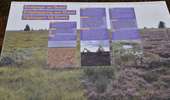 Trail Walking Baelen - 20231030 - Drossart 7.8 Km - Photo 17