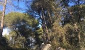 Trail Walking Fontvieille - Fontvieille - Les moulins de Daudet - Photo 5