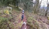 Tour Wandern Le Tholy - Sentier de la Roche Au Blaireau depuis le gîte  - Photo 15