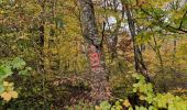 Tocht Stappen Vouthon-Haut - errance dans bois de Vaudeville le - Photo 8