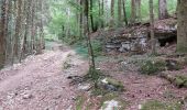 Trail Walking Ouhans - RANDONNEE A LA SOURCE DE LA LOUE - Photo 1