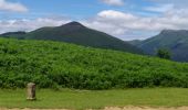 Tocht Stappen Sare - col de lizarrieta et col des 3 bornes - Photo 5