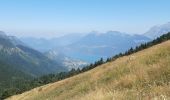 Tour Wandern Bellecombe-en-Bauges - montagne du charbon : montée par la piste Reposoir. col de bornette . refuge de la combe / retour même itinéraire sauf par les champs et bois depuis bornette  - Photo 19