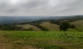 Tocht Stappen Vianden - vianden . stolzemmbour  - Photo 14