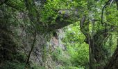 Randonnée Marche Alissas - Alissas Cascade-du-Gournier-Château de Rochessauve 16km. - Photo 1