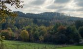 Randonnée Marche Neufchâteau - Molinfaing observatoire - Photo 18