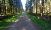 Randonnée Marche Malmedy - cascade du bayehon et un peu plus - Photo 3
