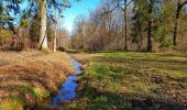 Tocht Stappen Beauraing - Balade à Winenne - Beauraing - Photo 8