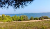 Trail Walking Leucate - mon sentier des pêcheurs via chateau - Photo 7