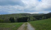 Trail Walking Foncine-le-Bas - Autour de la cascade du Bief de la Ruine 🥾 - Photo 17