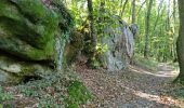 Trail Walking Étréchy - Forêt Régionale d'Etrechy - Photo 16