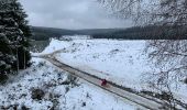 Trail Walking Saint-Hubert - St Hubert - La Borne - Photo 14