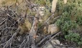 Trail Walking Martigues - blockaus - Photo 9