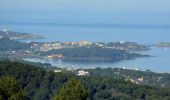 Trail Walking Six-Fours-les-Plages - Cap Sicié - Notre Dame du Mai - Six fours - Photo 6