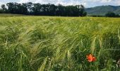 Tour Wandern Saint-Blaise-du-Buis - Le tour des Voyes - Photo 3