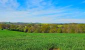 Trail Walking Houyet - Balade autour du Château de Vêves - Celles - Photo 19