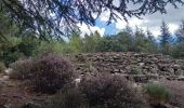 Tour Wandern Génolhac - Vallée de l'Homol - Photo 19