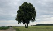 Tour Wandern Grez-Doiceau - Randonnée autour de Grez-Doiceau - Photo 11