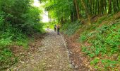 Trail Walking Onhaye - Balade de Falaën à Sosoye - Photo 8