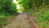 Randonnée Marche Onhaye - Balade de Falaën à Sosoye - Photo 8