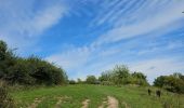Trail Walking Aubel - A la redÃ©couverte de Val Dieu ð¥¾ - Photo 7