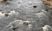 Randonnée Marche Recoules-d'Aubrac - Pont gourmier Recoules Nasbinals Le Bes - Photo 2