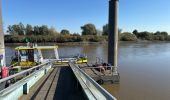 Tocht Stappen Dendermonde - Dendermonde Kastel 17,8 km - Photo 11