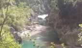 Trail Walking La Palud-sur-Verdon - sentier blanc Martel depuis Chalet les Malines - Photo 10