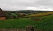 Trail Walking Château-Thierry - Château-Thierry du 20-10-2024 - Photo 4