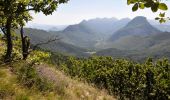 Tour Wandern Saou - Saou. 12km - Photo 2