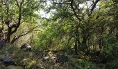 Tocht Stappen Le Puech - Les Vailhès Laulo Plateau d'Auverne Salagou - Photo 4