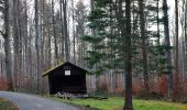 Trail On foot Waldenbuch - Herzog-Jäger-Pfad Premiumwanderweg - Photo 1