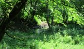 Excursión Bici de montaña Rougeux - Les Chênes à Rougeux - Photo 3