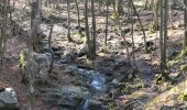 Trail Walking Aywaille - 220307 Ninglinspo - Photo 12