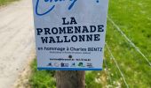 Trail Walking Sainte-Ode - BeauPlateau - Photo 19