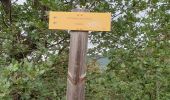 Randonnée Marche Vernet-les-Bains - Sahorre dolmen - Photo 8